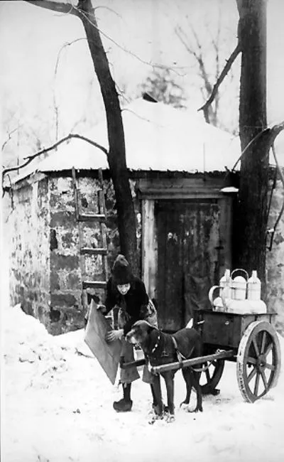 Un chien des Flandres (1914)