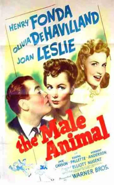 The male animal (1942)