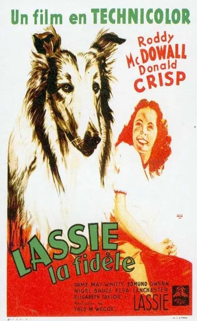 Lassie la fidèle (1943)