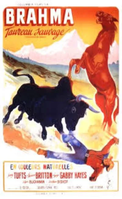 Brahma taureau sauvage (1948)