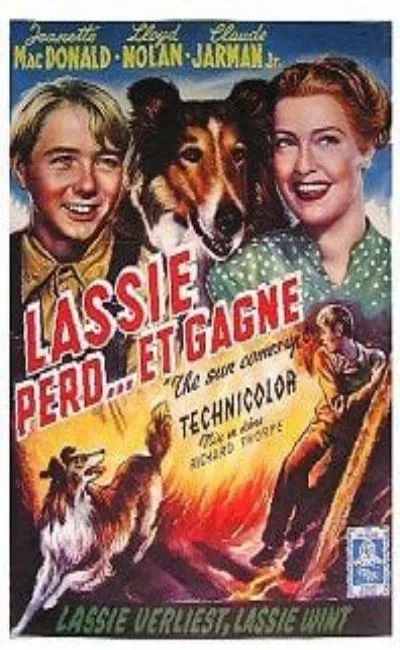 Lassie perd et gagne (1950)