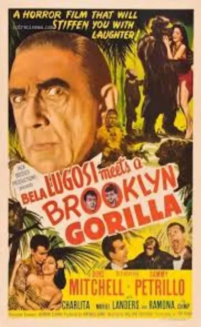Le Gorille de Brooklyn (1952)