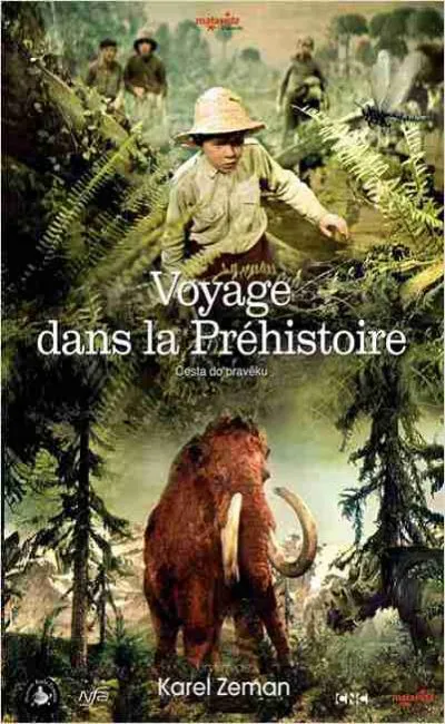 Voyage dans la préhistoire (1955)