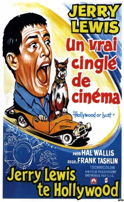 Un vrai cinglé de cinéma (1956)