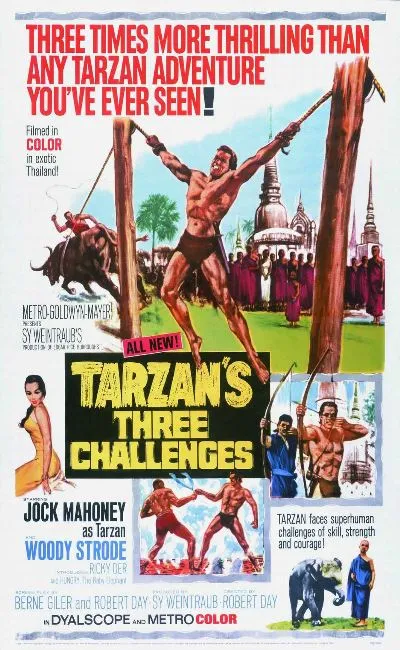 Les trois défis de Tarzan