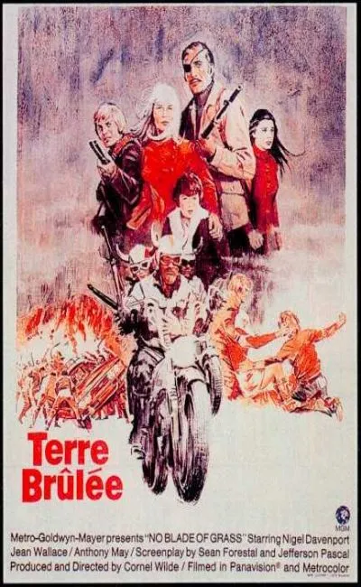 Terre brûlée (1970)
