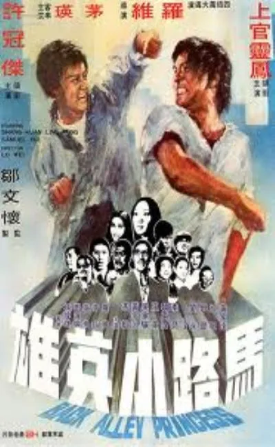 Acrobatique Kung Fu contre Gang Noir (1973)