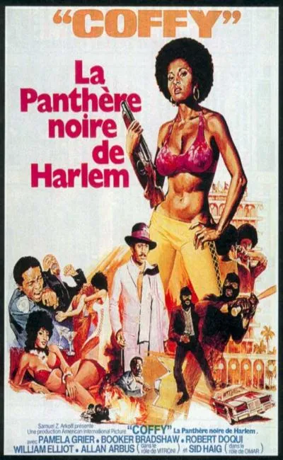 Coffy la panthère noire de Harlem (1974)
