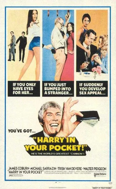 La loi selon Harry (1973)