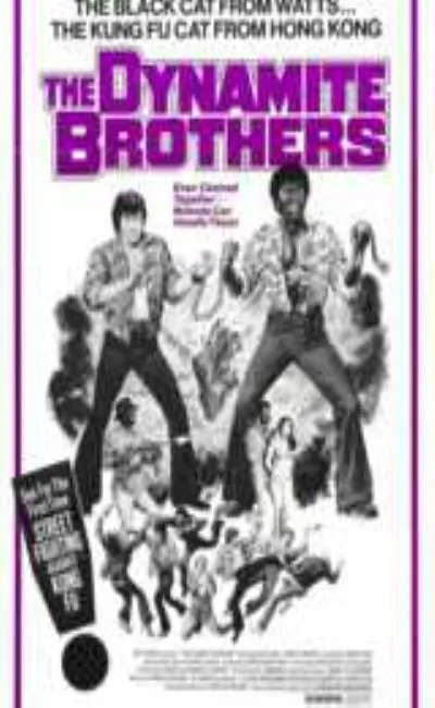 Dynamite brothers (1976)
