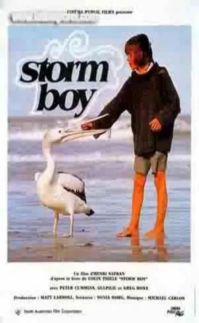 Le petit garçon de la tempête (1976)
