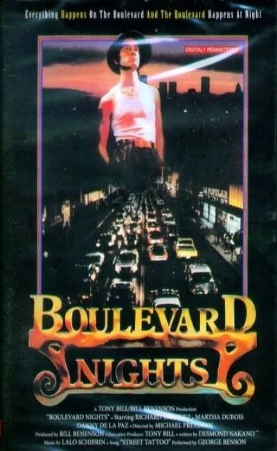 Boulevard nights (1979)