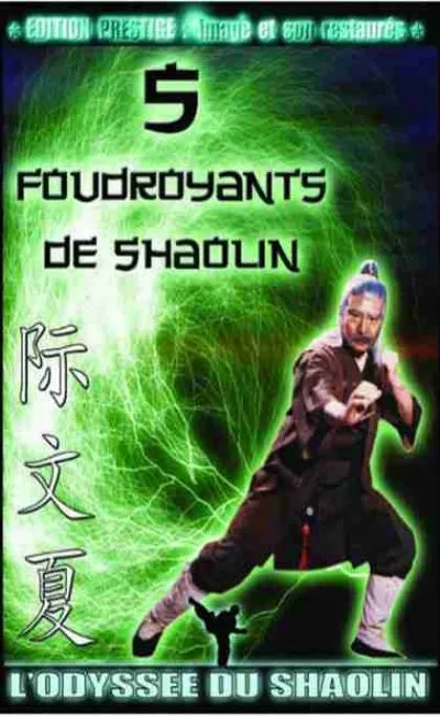 Les 5 Foudroyants de Shaolin