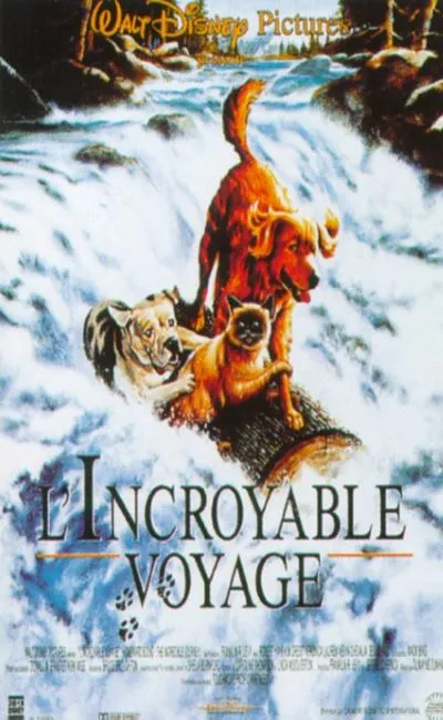 L'incroyable voyage (1993)