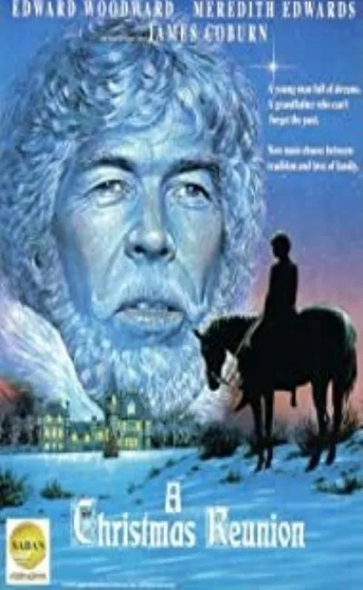 Le conte du Père Noël (1994)