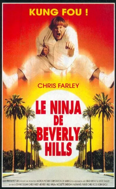 Le ninja de Beverly Hills (1996)