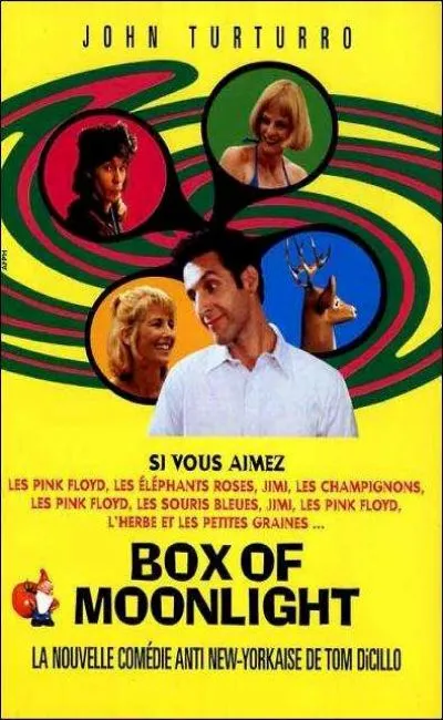 Box of moonlight (1996)