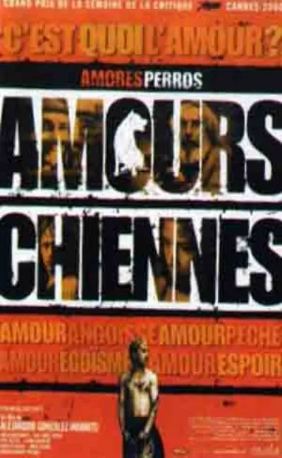 Amours chiennes (2000)
