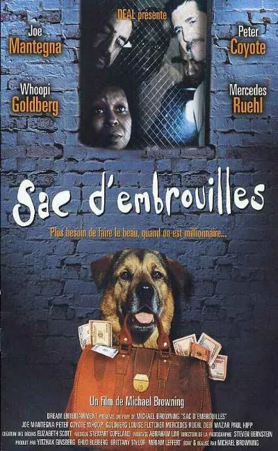 Sac d'embrouilles (2001)