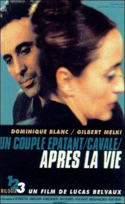 Après la vie (2003)