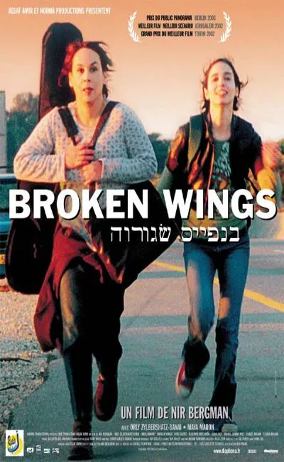 Broken wings (2004)