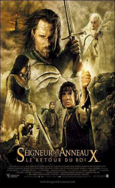 Le seigneur des anneaux : le retour du roi (2003)