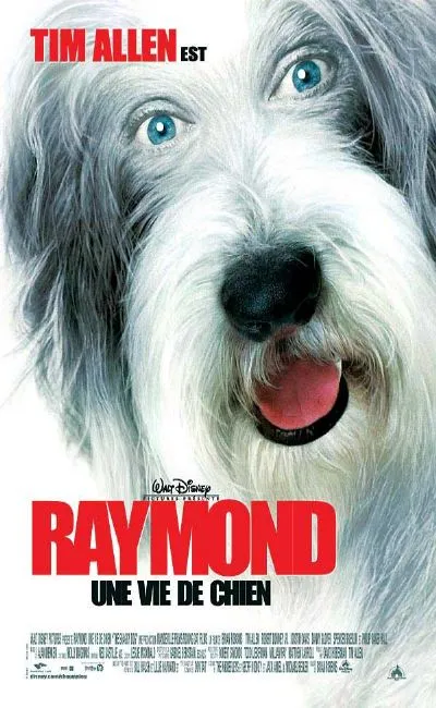 Raymond une vie de chien