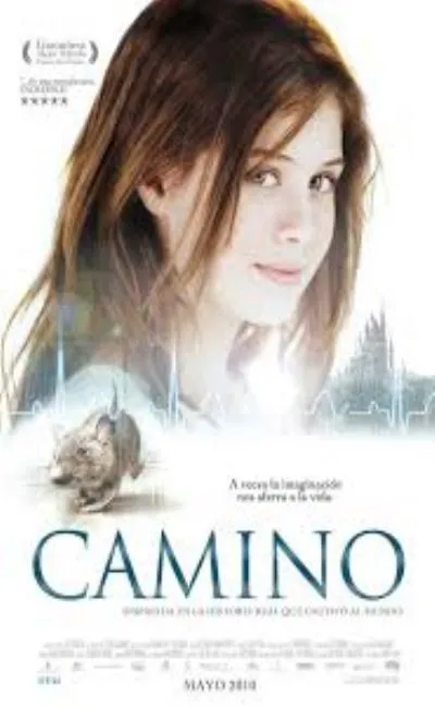Camino (2011)