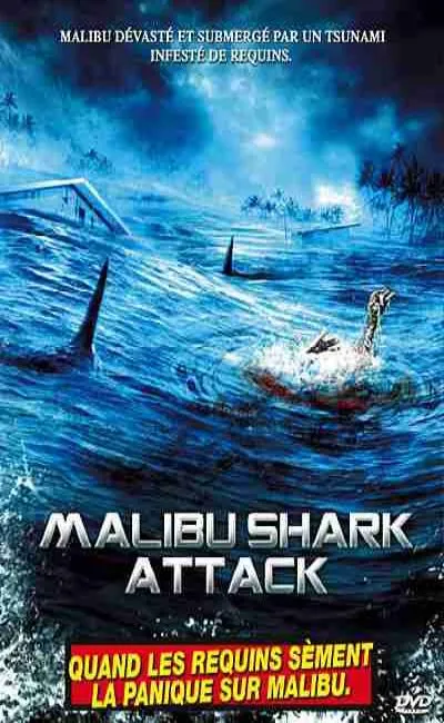 Malibu shark attack (2010)