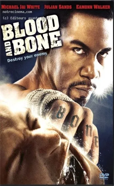 Blood and Bone (2010)