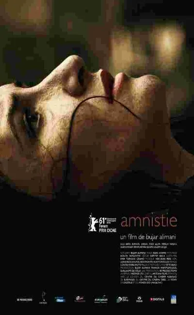 Amnistie (2011)