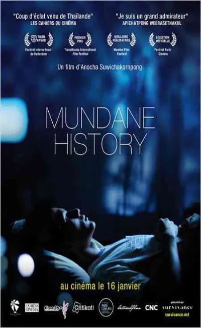Mundane history (2013)