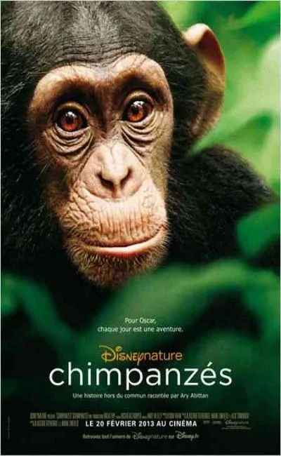 Chimpanzés (2013)
