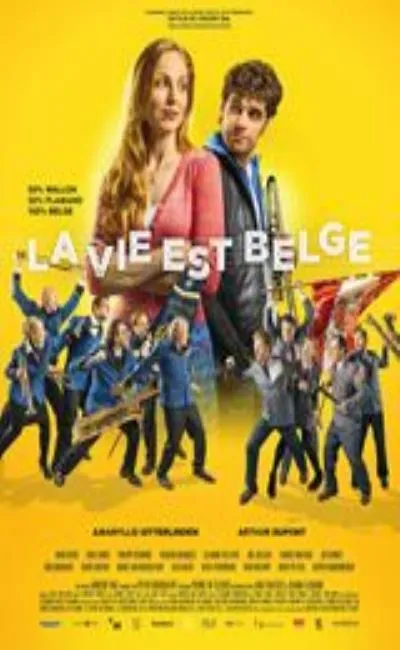 La vie est belge (2016)