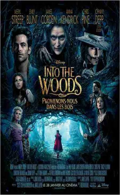 Into the Woods - Promenons-nous dans les bois (2015)
