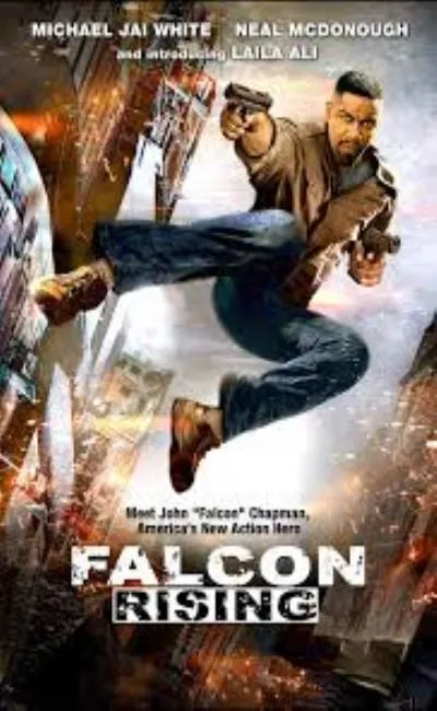 Falcon rising (2016)