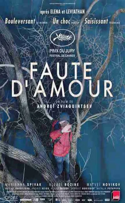 Faute d'amour (2017)