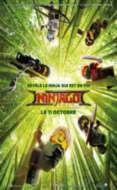Lego Ninjago le Film (2017)