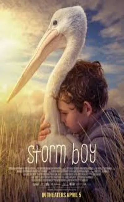 Storm boy (2019)