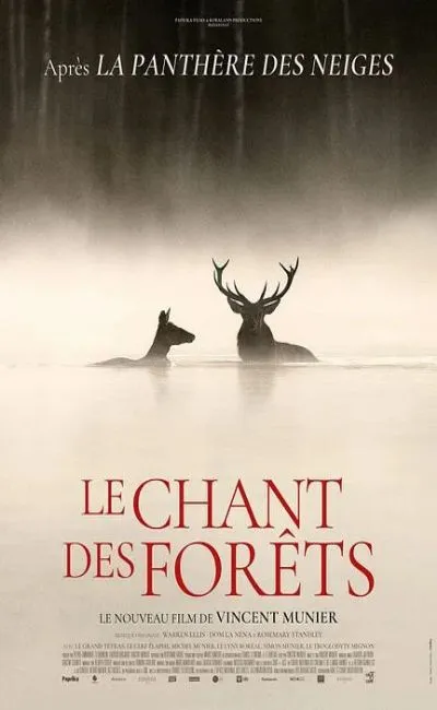 Le chant des forêts